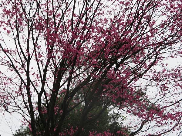 IMG_0163 IMG_0163