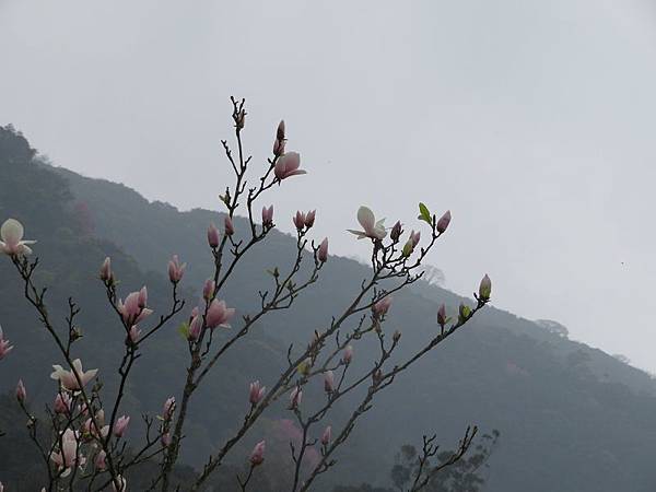 IMG_0137 IMG_0137