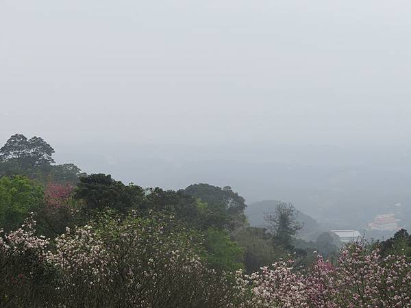 IMG_0129 IMG_0129