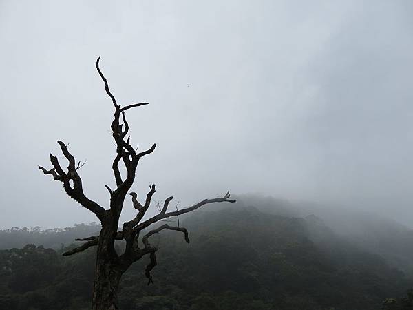 IMG_0100 IMG_0100