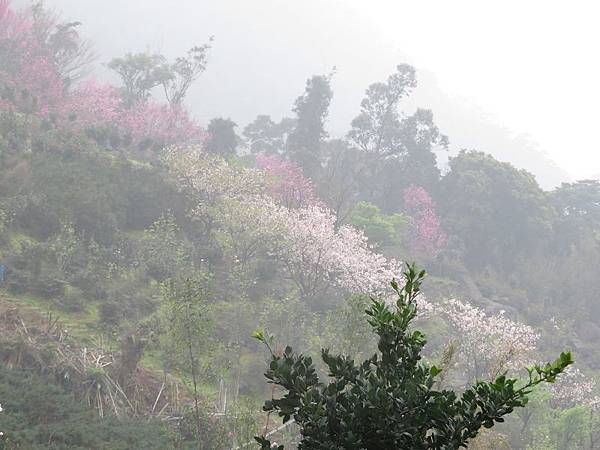 IMG_0096 IMG_0096