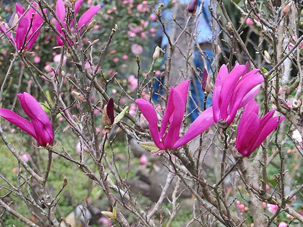IMG_0074 IMG_0074