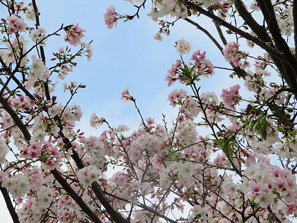 IMG_0037 IMG_0037