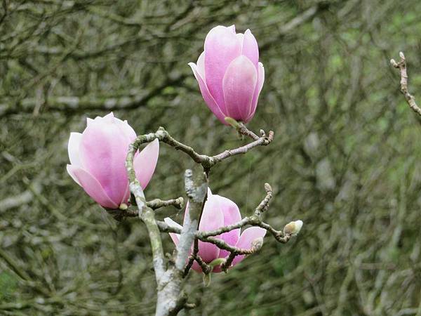 IMG_0028 IMG_0028