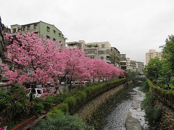 IMG_0471 IMG_0471