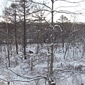 北海道雪景