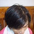 IMG_9784.jpg