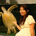 澎湖水族管-海龜5