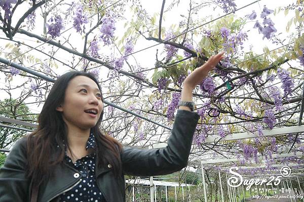 紫藤花咖啡09.jpg 紫藤花咖啡09.jpg