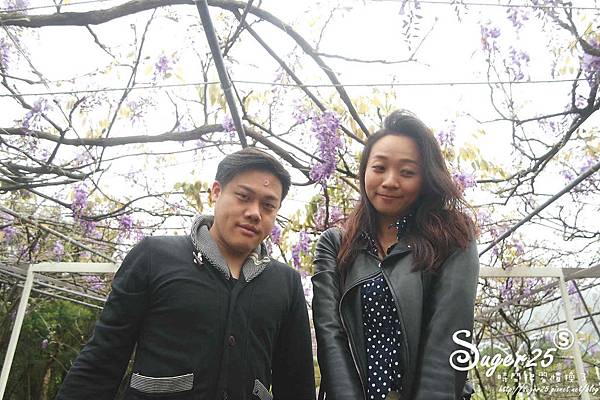 紫藤花咖啡14.jpg 紫藤花咖啡14.jpg