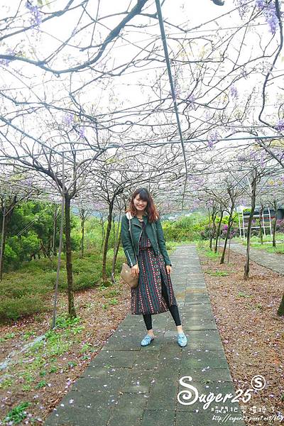 紫藤花咖啡28.jpg 紫藤花咖啡28.jpg