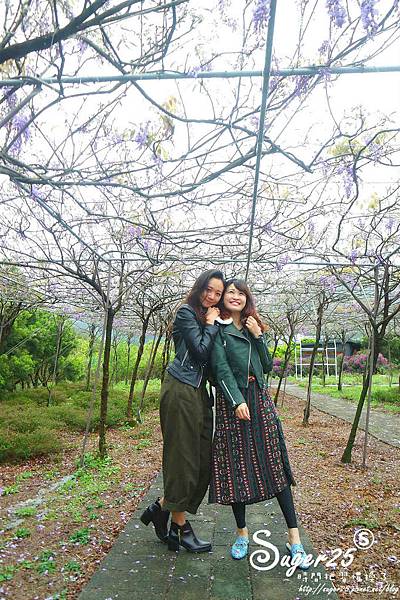 紫藤花咖啡30.jpg 紫藤花咖啡30.jpg