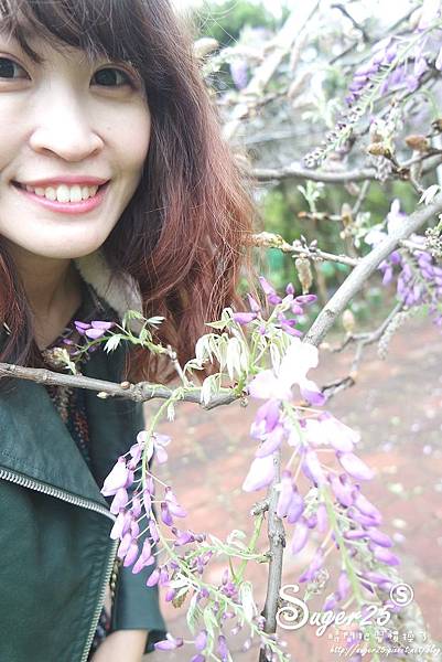 紫藤花咖啡33.jpg 紫藤花咖啡33.jpg