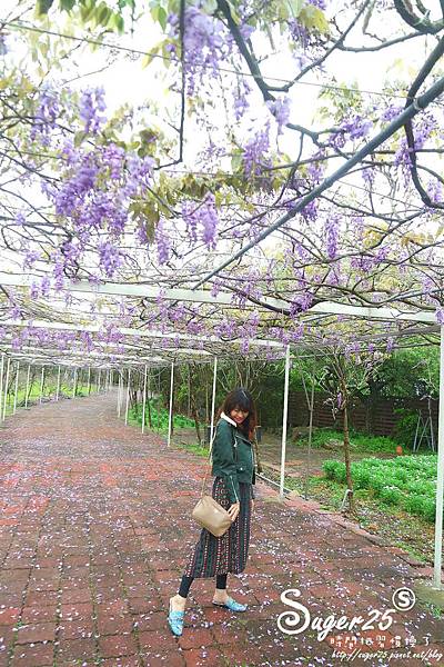 紫藤花咖啡38.jpg 紫藤花咖啡38.jpg