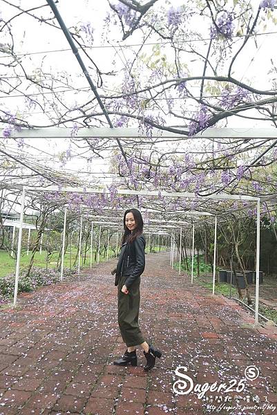 紫藤花咖啡40.jpg 紫藤花咖啡40.jpg