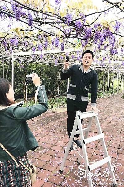 紫藤花咖啡46.jpg 紫藤花咖啡46.jpg