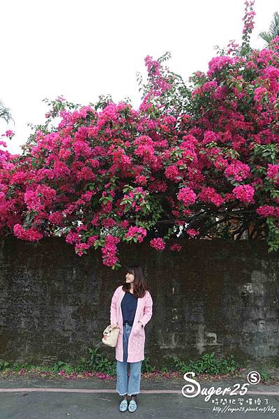 羅東九重葛05.jpg 羅東九重葛05.jpg