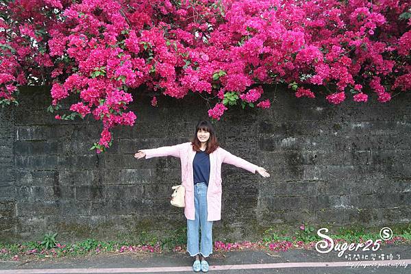 羅東九重葛21.jpg 羅東九重葛21.jpg