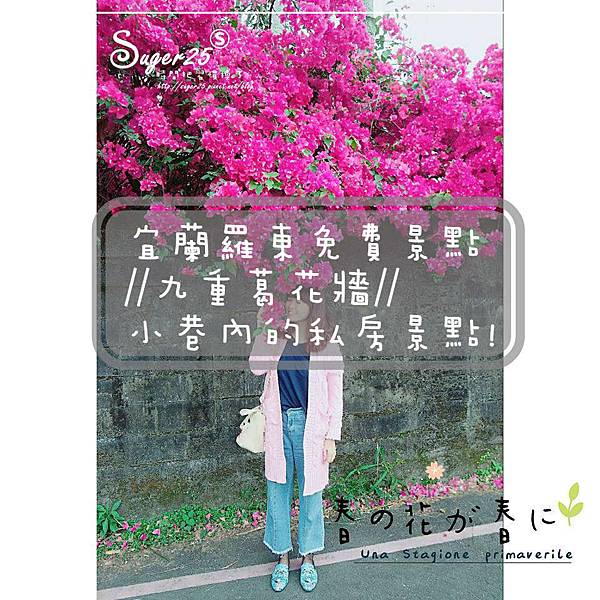 羅東九重葛27.jpg 羅東九重葛27.jpg