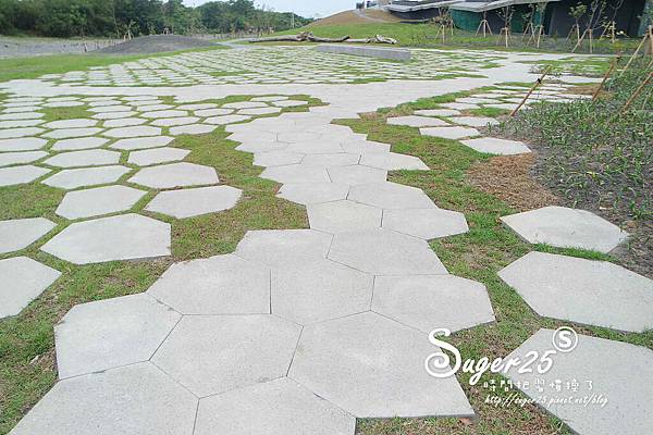 狀圍沙丘休息區8.jpg 狀圍沙丘休息區8.jpg