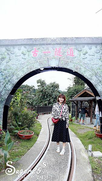 宜蘭三星親子天送埤洛克馬一日遊3.jpg 宜蘭三星親子天送埤洛克馬一日遊3.jpg