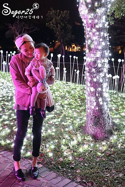 2018宜蘭奇幻耶誕燈會004.jpg