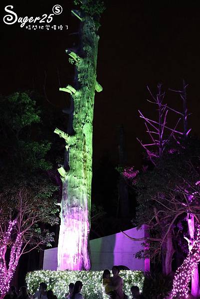 2018宜蘭奇幻耶誕燈會028.jpg