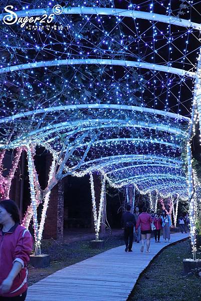 2018宜蘭奇幻耶誕燈會041.jpg