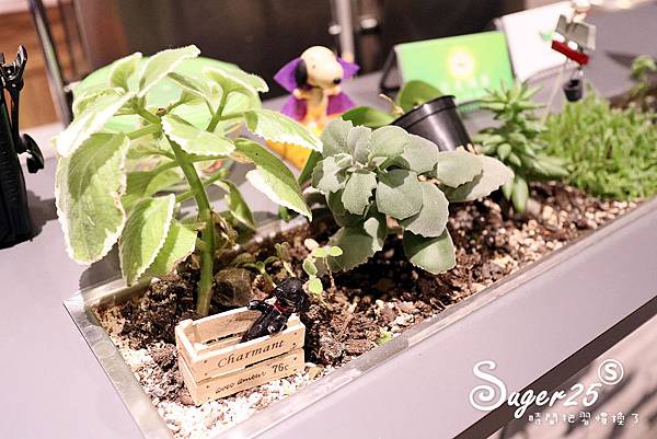 宜蘭冬山旅遊美食日光私廚11.jpg 宜蘭冬山旅遊美食日光私廚11.jpg