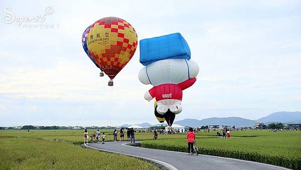 宜蘭三奇伯朗大道熱氣球5.jpg