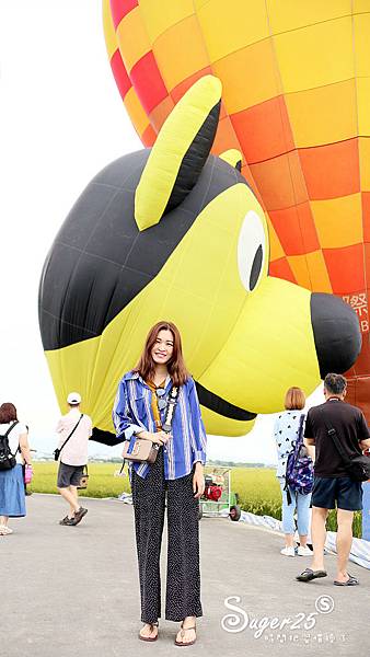 宜蘭三奇伯朗大道熱氣球8.jpg