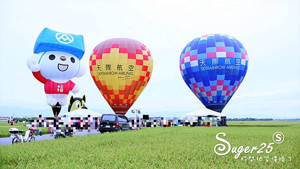 宜蘭三奇伯朗大道熱氣球25.jpg