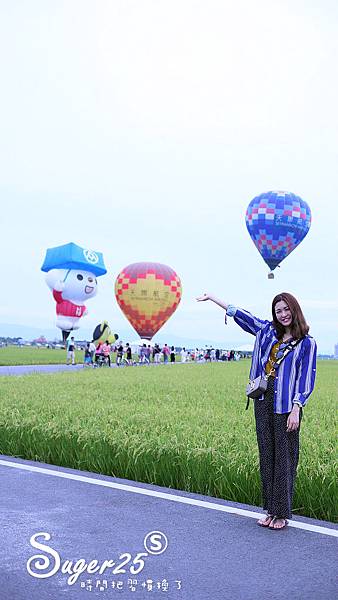 宜蘭三奇伯朗大道熱氣球31.jpg