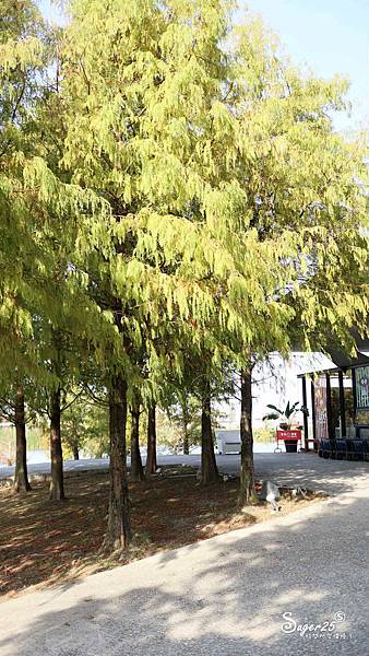 宜蘭輕食Paul frank cafe大嘴猴5.jpg