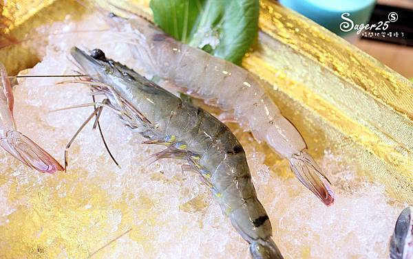 桃園火鍋麻六味精選鍋物51.jpg 桃園火鍋麻六味精選鍋物51.jpg