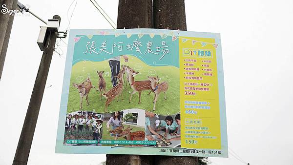 宜蘭餵鹿張美阿嬤農場24.jpg
