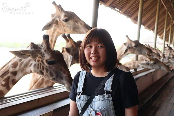 泰國塞福瑞動物園Safari World28.jpg