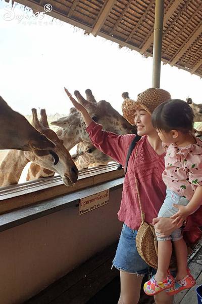 泰國塞福瑞動物園Safari World38.jpg