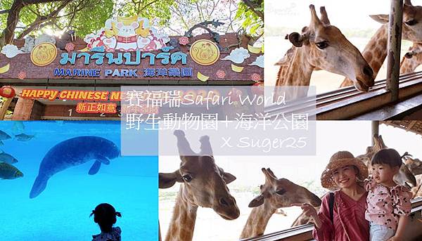2020泰國曼谷自由行 DAY3賽福瑞Safari World 野生動物園+海洋公園+水門市場雞肉飯+泰式按摩!