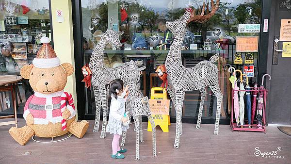 宜蘭運動公園奇異鳥6.jpg 宜蘭運動公園奇異鳥6.jpg