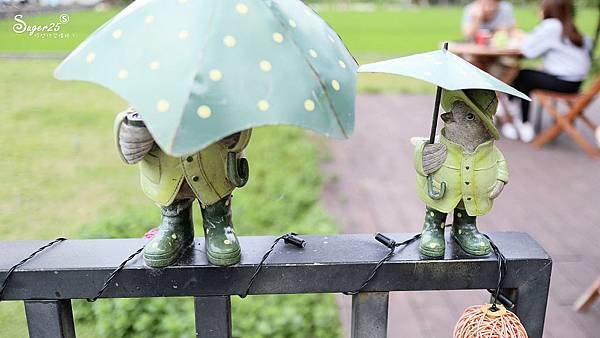 宜蘭運動公園奇異鳥7.jpg 宜蘭運動公園奇異鳥7.jpg