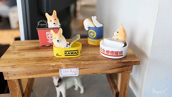 宜蘭運動公園奇異鳥16.jpg 宜蘭運動公園奇異鳥16.jpg