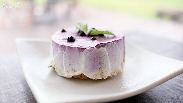 宜蘭運動公園奇異鳥23.jpg 宜蘭運動公園奇異鳥23.jpg