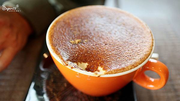 宜蘭運動公園奇異鳥28.jpg 宜蘭運動公園奇異鳥28.jpg