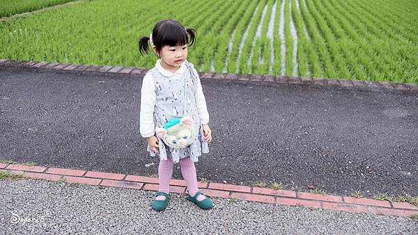 宜蘭運動公園奇異鳥39.jpg 宜蘭運動公園奇異鳥39.jpg