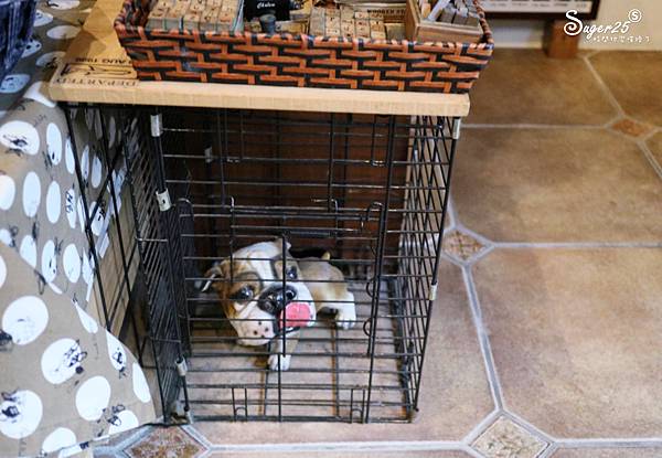 桃園下午茶虎咖啡46.jpg 桃園下午茶虎咖啡46.jpg