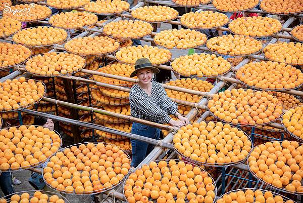 新竹北埔景點味衛佳柿餅教育農園3.jpg