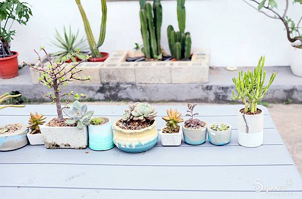 宜蘭頭城Kakahong甜點x手作46.jpg 宜蘭頭城Kakahong甜點x手作46.jpg