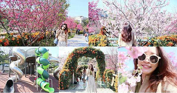 永吉公園,鶯歌區,炮仗花季,櫻花季,日本吉野櫻,愛心炮仗花,3D彩繪區,新北,鶯歌,櫻花,炮仗花,賞花,賞櫻,拍照,打卡