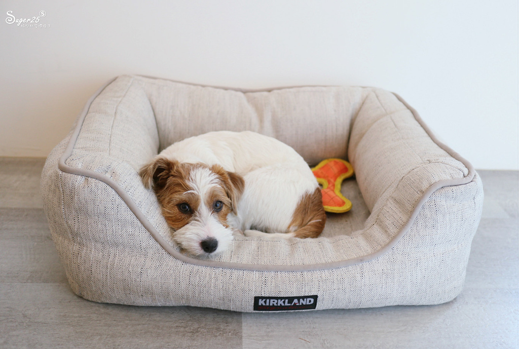 桃園下午茶莫甜 More Sweets28.jpg 桃園下午茶莫甜 More Sweets28.jpg